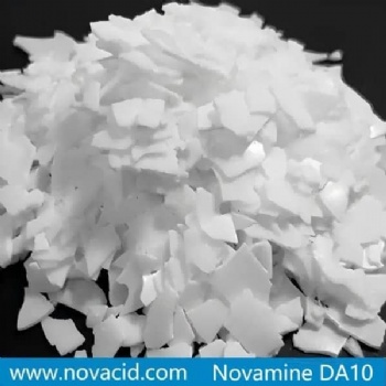1,10-Diaminodecane (Novamine DA10)